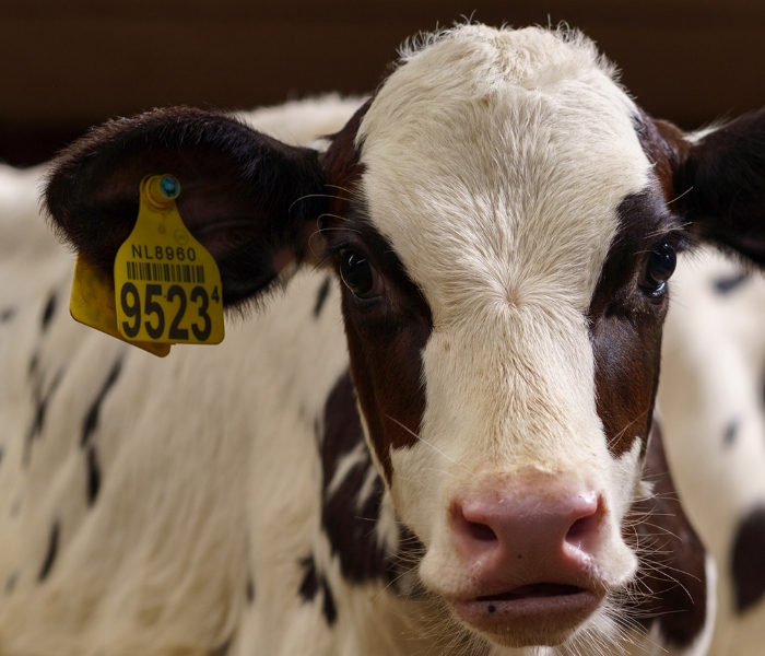 Nieuwe websites voor Herman de Haan Group